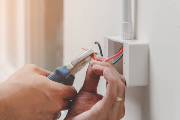 Best Surge Protection Installation  in Brocton, NY